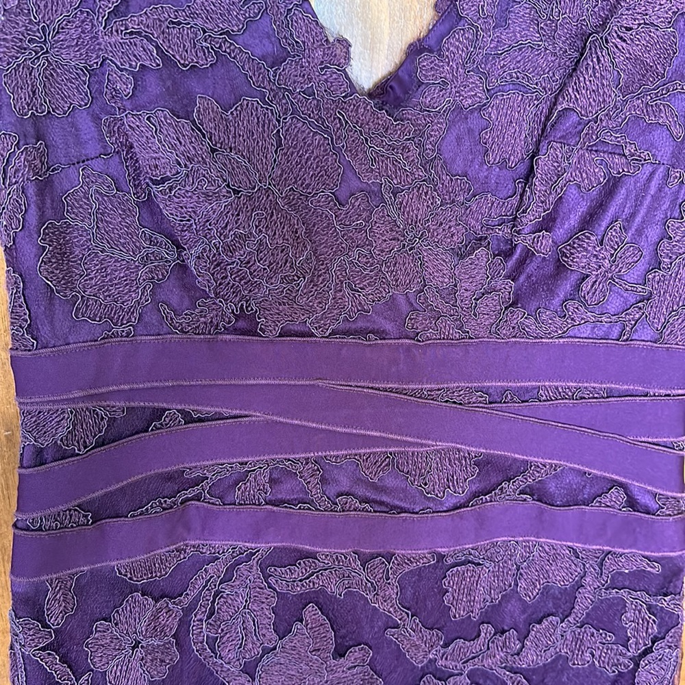 EUC Fully lined sleeveless dress lace outer - Picture 3 of 8